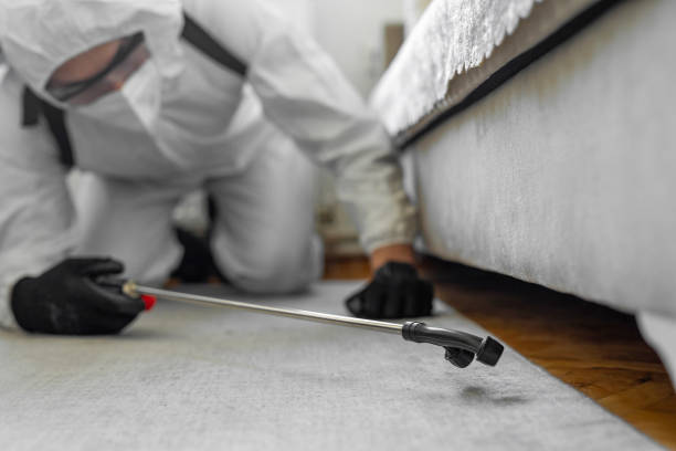 Professional Termite Control technician working in Carlisle, PA